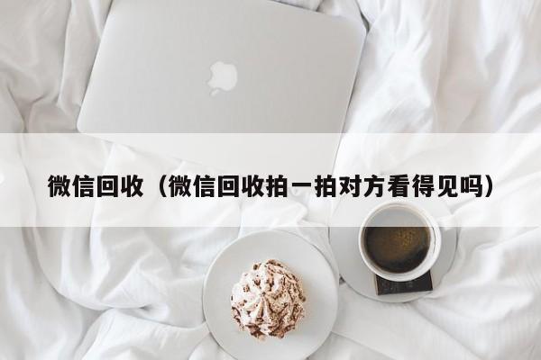 微信回收（微信回收拍一拍对方看得见吗）